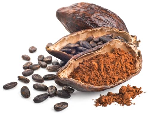 Haitian Cocoa Butter Oil | Pure Nourishment Ritual