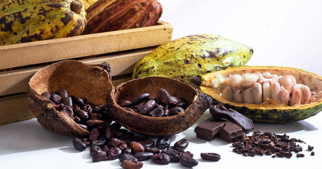 Haitian Cocoa Butter Oil | Pure Nourishment Ritual