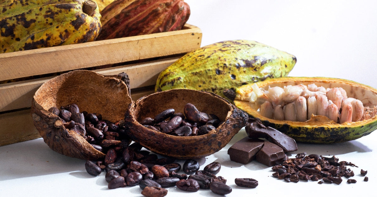 Haitian Cocoa Butter Oil | Pure Nourishment Ritual