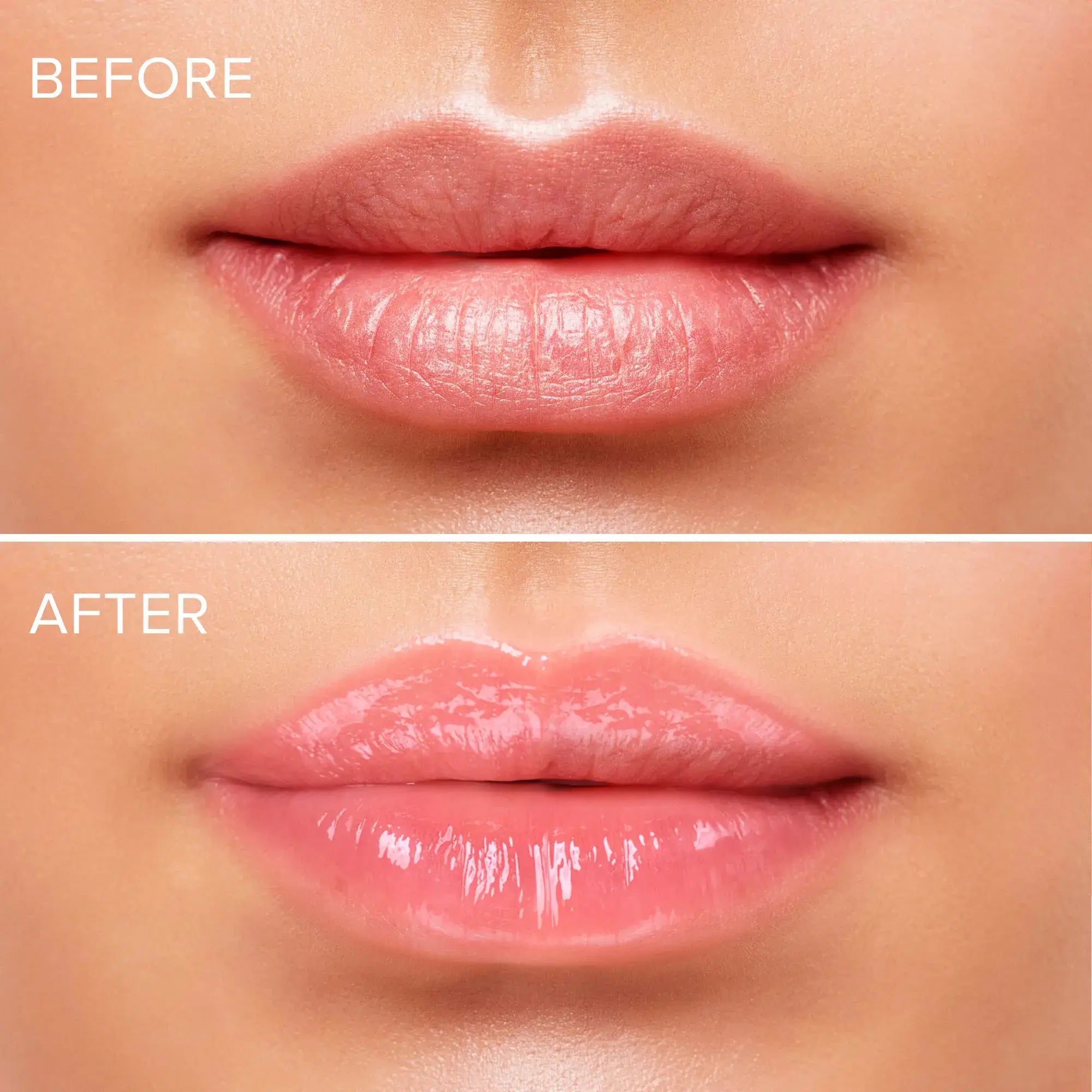 Petal Plump Lip Moisturizer & Plumping Balm